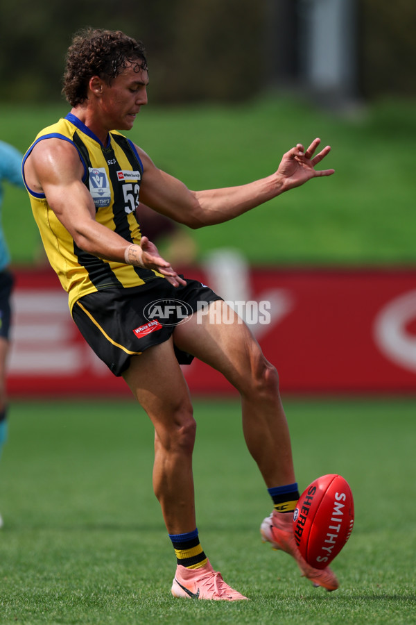 VFL 2025 Round 02 - Sandringham v Richmond - A-58215819