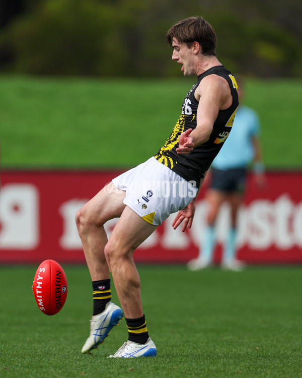 VFL 2025 Round 02 - Sandringham v Richmond - A-58215820