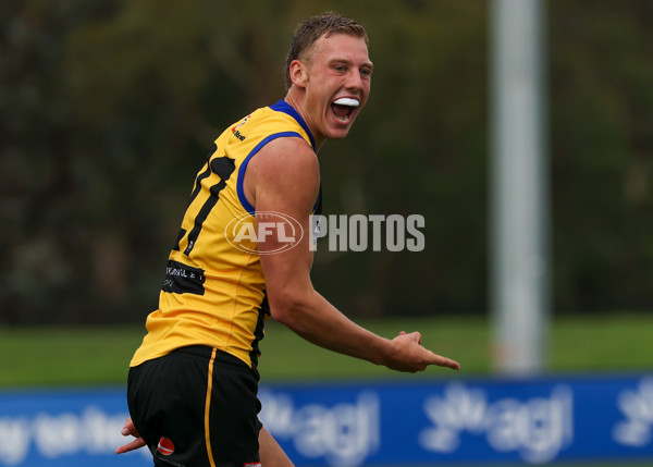 VFL 2025 Round 02 - Sandringham v Richmond - A-58215844