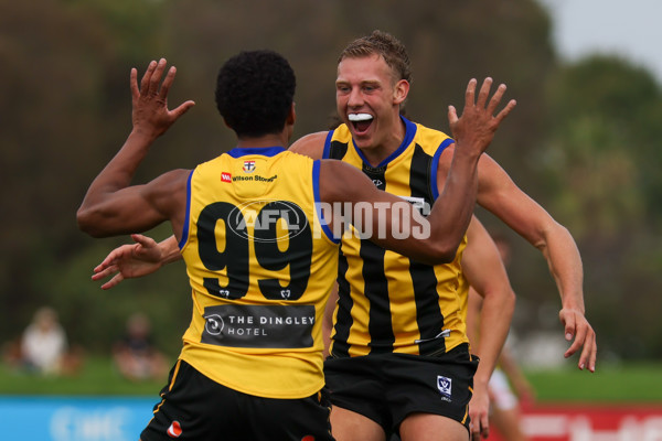 VFL 2025 Round 02 - Sandringham v Richmond - A-58215847