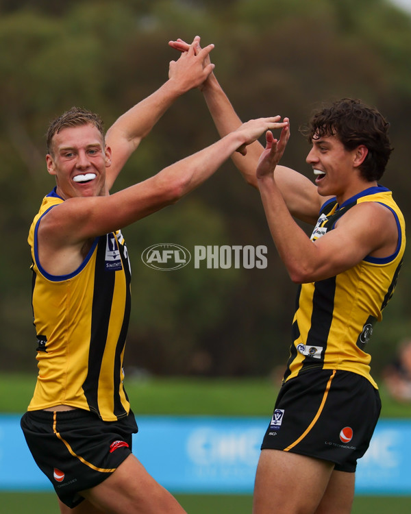 VFL 2025 Round 02 - Sandringham v Richmond - A-58215849