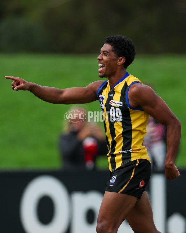 VFL 2025 Round 02 - Sandringham v Richmond - A-58215851