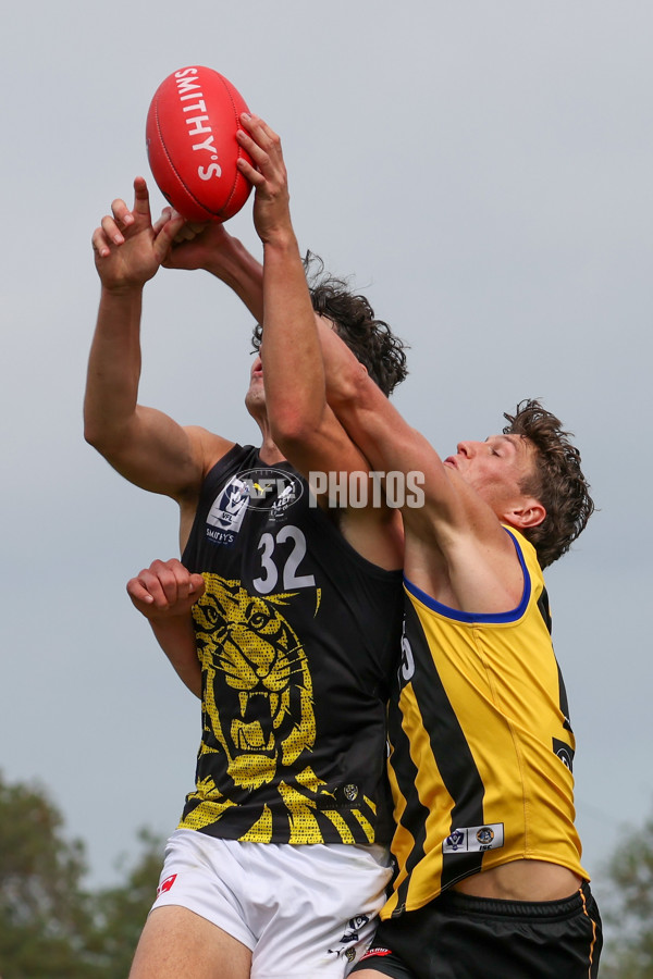 VFL 2025 Round 02 - Sandringham v Richmond - A-58215852