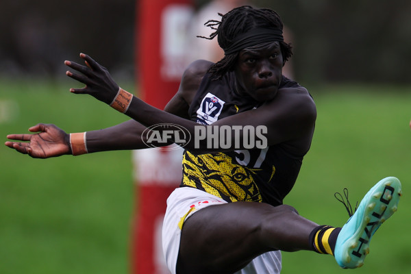 VFL 2025 Round 02 - Sandringham v Richmond - A-58215853