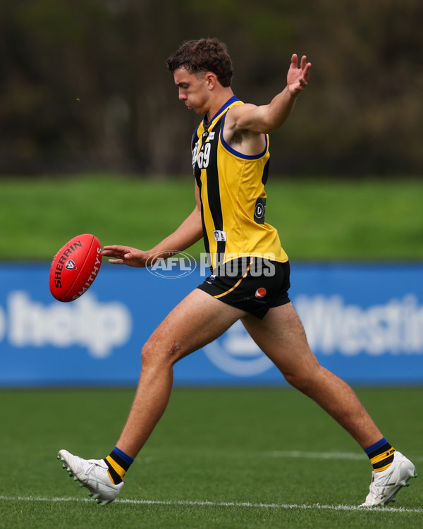 VFL 2025 Round 02 - Sandringham v Richmond - A-58215854