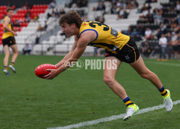 VFL 2025 Round 02 - Sandringham v Richmond - A-58215867