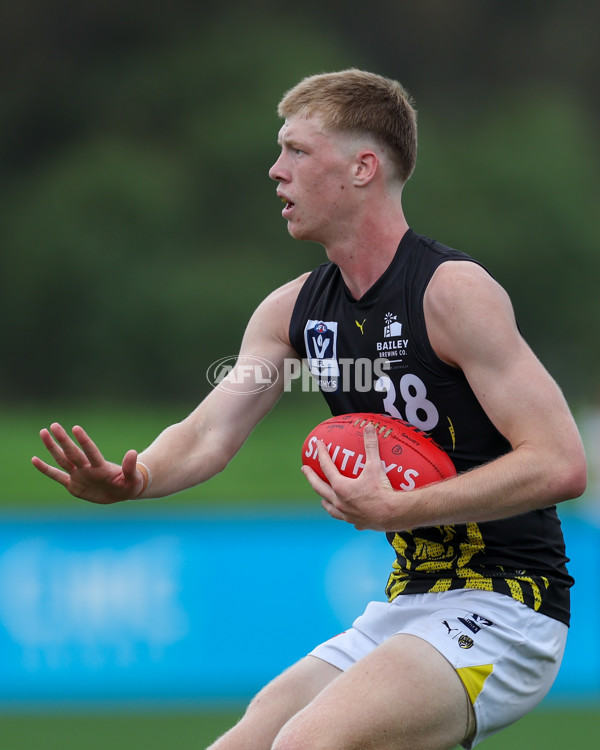 VFL 2025 Round 02 - Sandringham v Richmond - A-58215869
