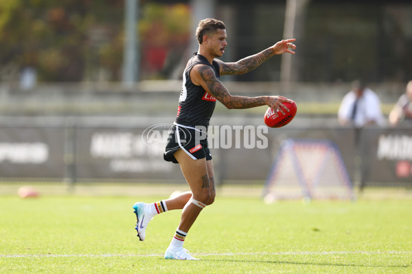 AFL 2025 Training - Collingwood 300325 - A-58218064