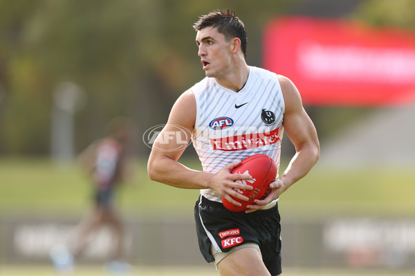AFL 2025 Training - Collingwood 300325 - A-58218065