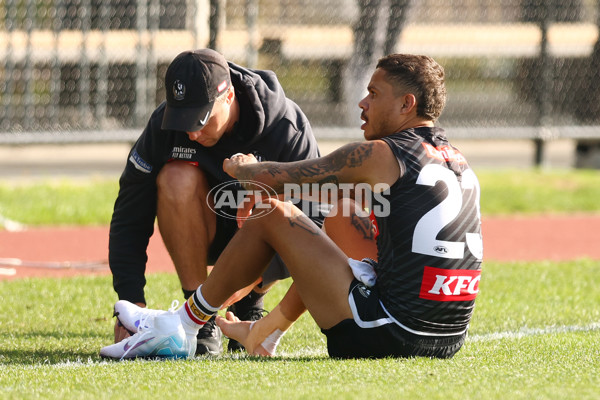 AFL 2025 Training - Collingwood 300325 - A-58218088