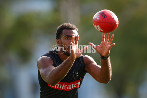 AFL 2025 Training - Collingwood 300325 - A-58218245