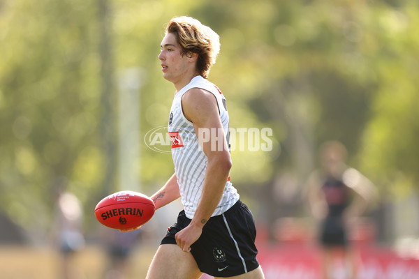 AFL 2025 Training - Collingwood 300325 - A-58218247