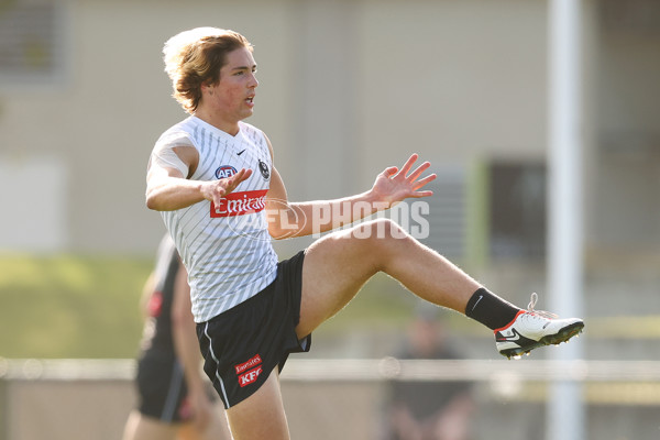AFL 2025 Training - Collingwood 300325 - A-58218315
