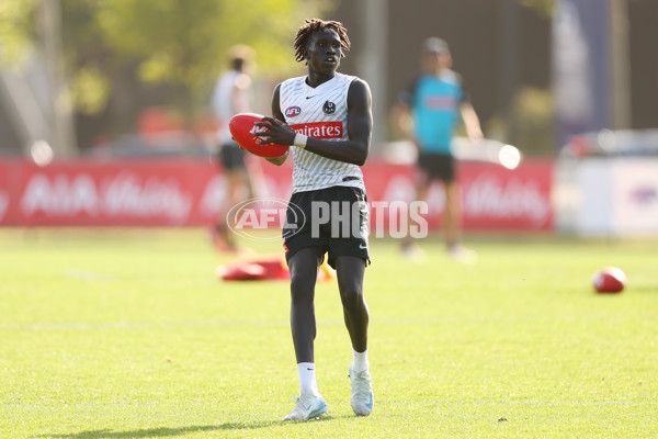 AFL 2025 Training - Collingwood 300325 - A-58221161