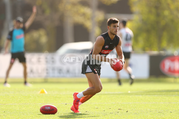 AFL 2025 Training - Collingwood 300325 - A-58221164