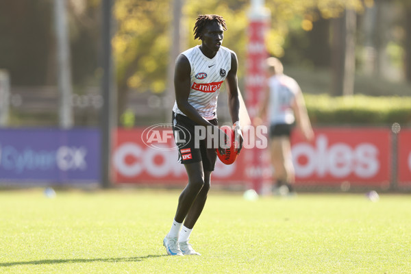 AFL 2025 Training - Collingwood 300325 - A-58221167