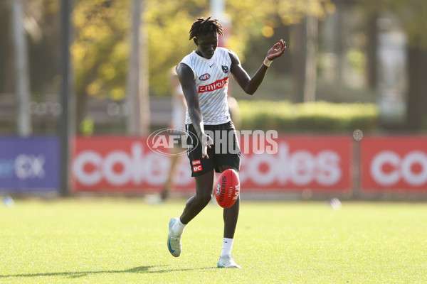 AFL 2025 Training - Collingwood 300325 - A-58221174