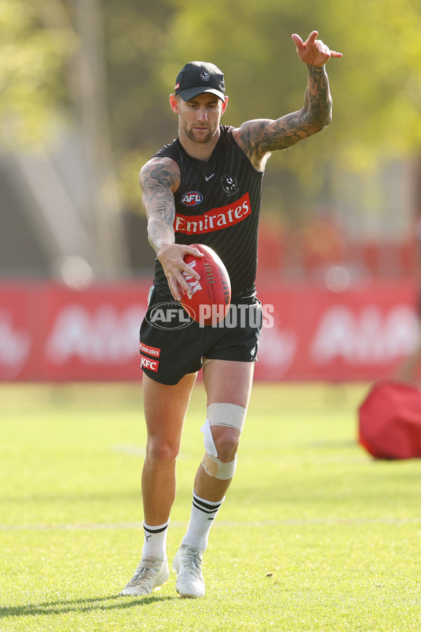 AFL 2025 Training - Collingwood 300325 - A-58221181