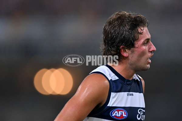 AFL 2025 Round 03 - Brisbane v Geelong - A-58221216