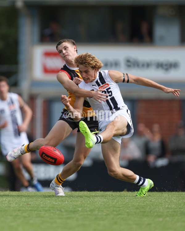 Coates League Boys 2025 Round 01 - Dandenong Stingrays v Geelong Falcons - A-58221241