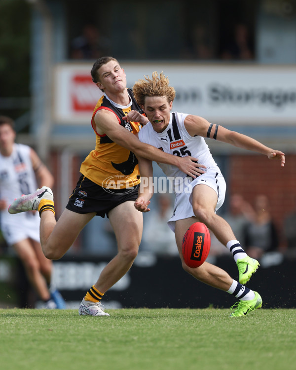Coates League Boys 2025 Round 01 - Dandenong Stingrays v Geelong Falcons - A-58221243