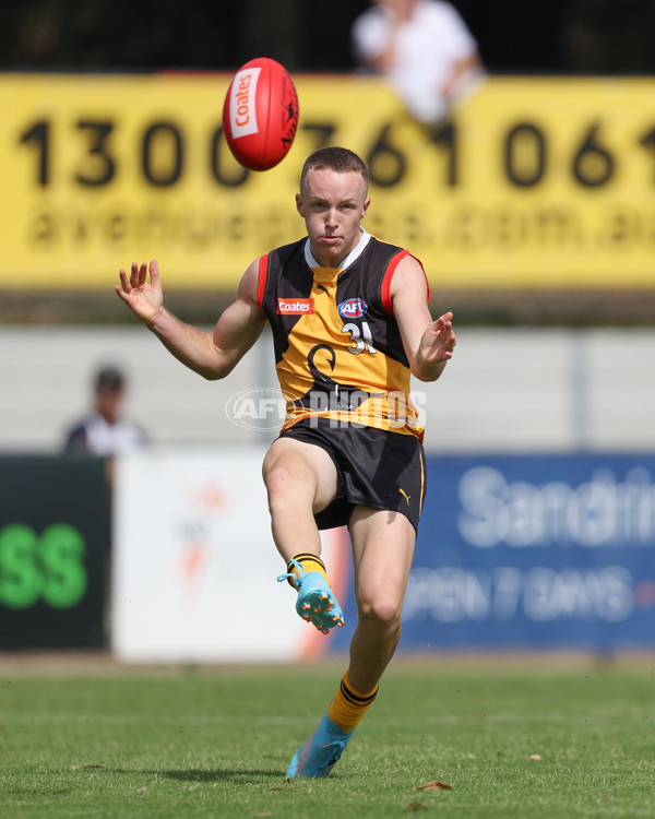 Coates League Boys 2025 Round 01 - Dandenong Stingrays v Geelong Falcons - A-58221245