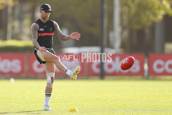 AFL 2025 Training - Collingwood 300325 - A-58221665