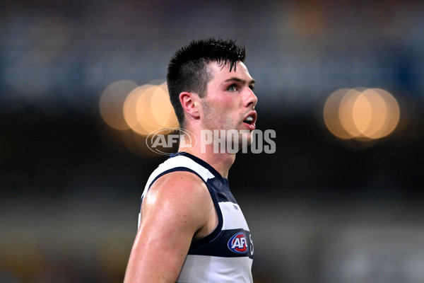 AFL 2025 Round 03 - Brisbane v Geelong - A-58221701