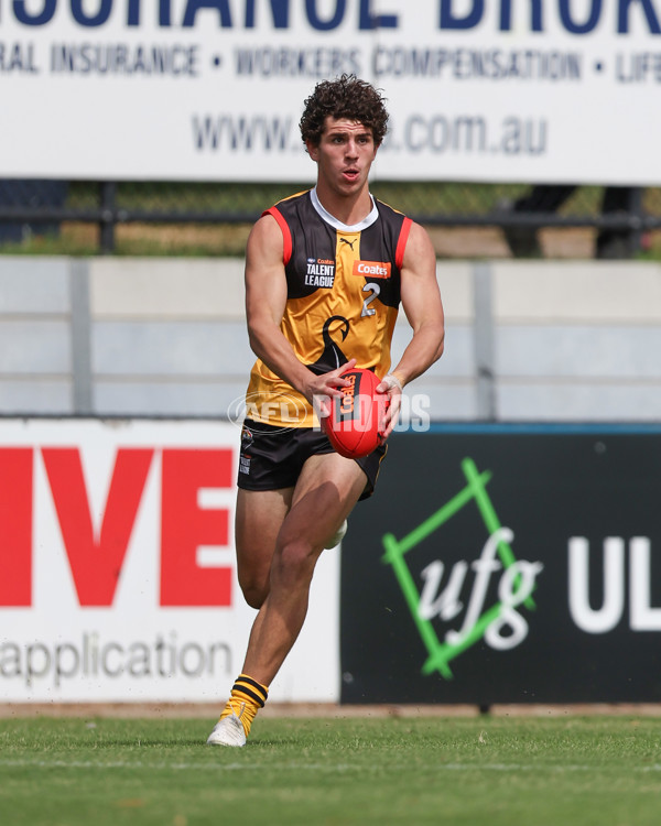 Coates League Boys 2025 Round 01 - Dandenong Stingrays v Geelong Falcons - A-58221719
