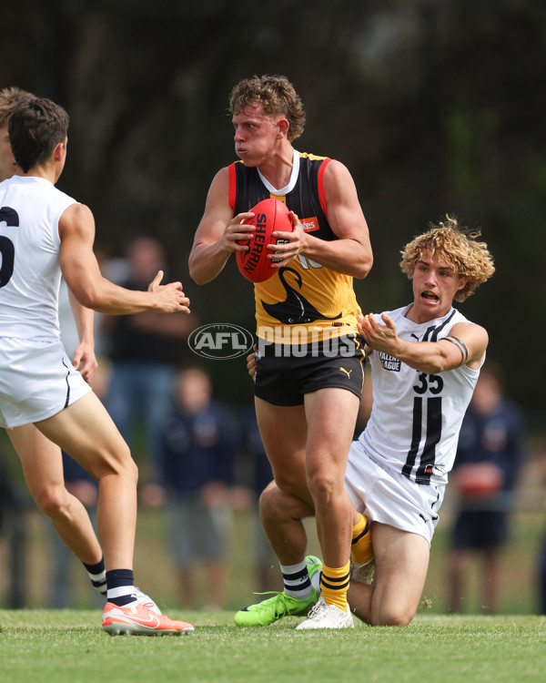 Coates League Boys 2025 Round 01 - Dandenong Stingrays v Geelong Falcons - A-58221728