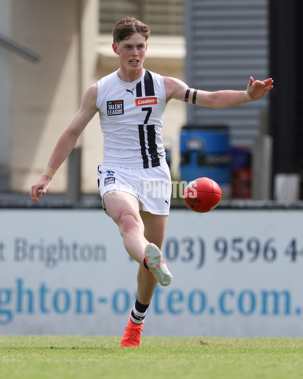 Coates League Boys 2025 Round 01 - Dandenong Stingrays v Geelong Falcons - A-58221729