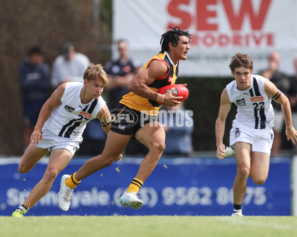 Coates League Boys 2025 Round 01 - Dandenong Stingrays v Geelong Falcons - A-58221732