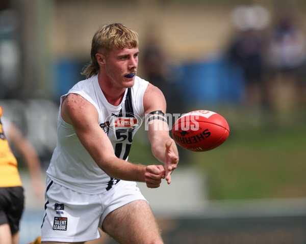 Coates League Boys 2025 Round 01 - Dandenong Stingrays v Geelong Falcons - A-58221734