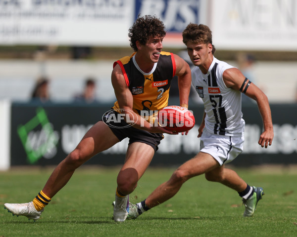 Coates League Boys 2025 Round 01 - Dandenong Stingrays v Geelong Falcons - A-58223593