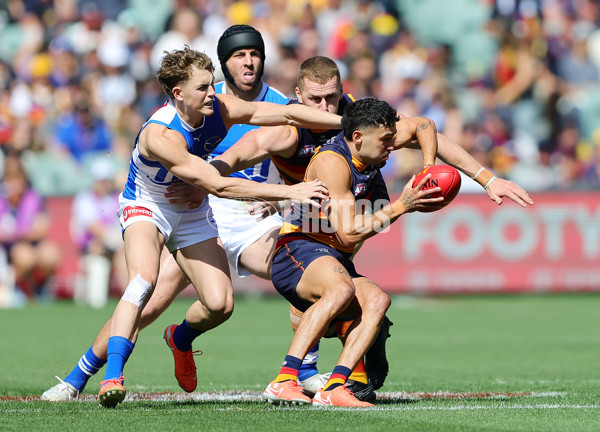 AFL 2025 Round 03 - Adelaide v North Melbourne - A-58223603