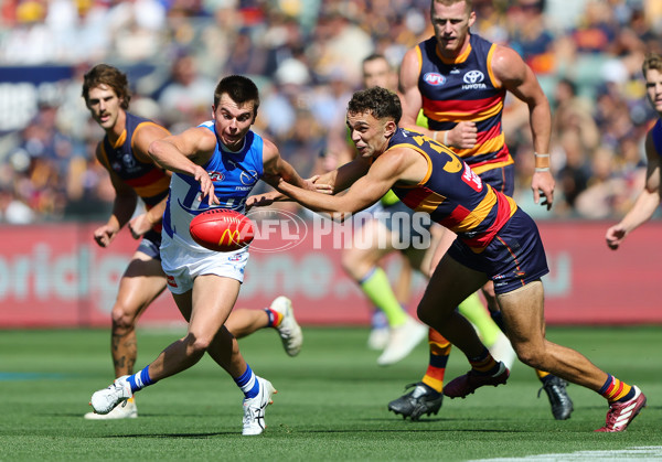 AFL 2025 Round 03 - Adelaide v North Melbourne - A-58223609