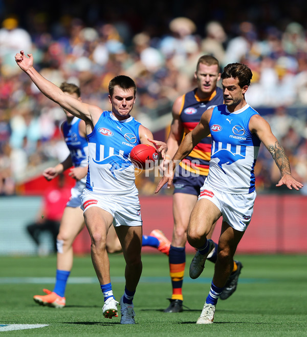 AFL 2025 Round 03 - Adelaide v North Melbourne - A-58223618