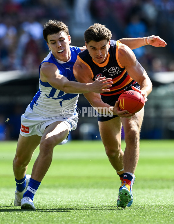 AFL 2025 Round 03 - Adelaide v North Melbourne - A-58223621