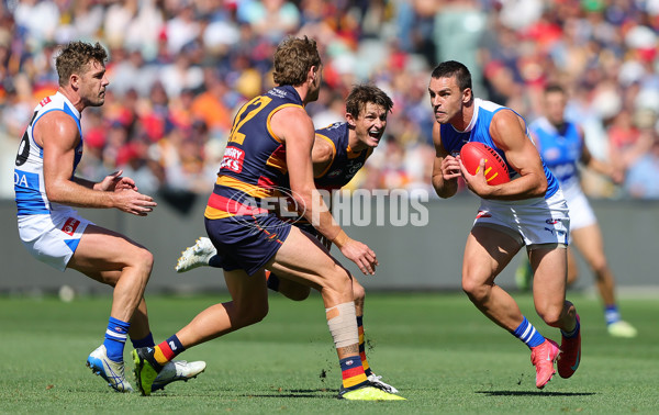 AFL 2025 Round 03 - Adelaide v North Melbourne - A-58223626