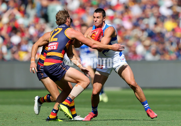 AFL 2025 Round 03 - Adelaide v North Melbourne - A-58223629