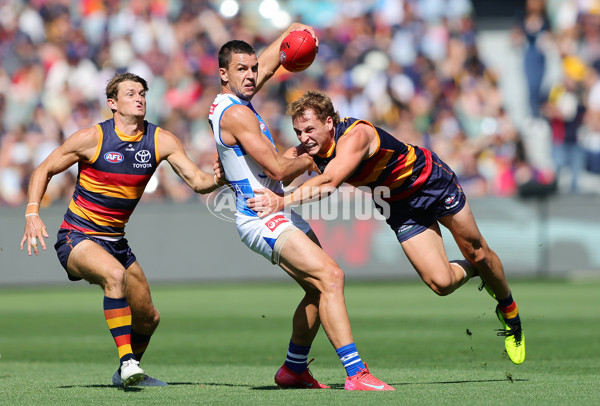 AFL 2025 Round 03 - Adelaide v North Melbourne - A-58223632