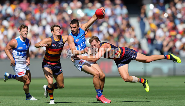 AFL 2025 Round 03 - Adelaide v North Melbourne - A-58223633