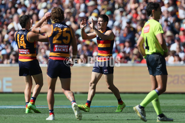 AFL 2025 Round 03 - Adelaide v North Melbourne - A-58223639