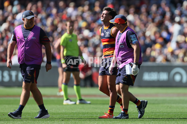AFL 2025 Round 03 - Adelaide v North Melbourne - A-58223640
