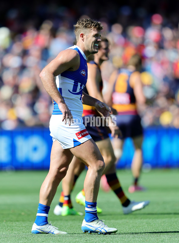 AFL 2025 Round 03 - Adelaide v North Melbourne - A-58223654