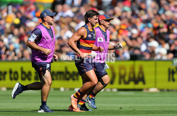 AFL 2025 Round 03 - Adelaide v North Melbourne - A-58223657