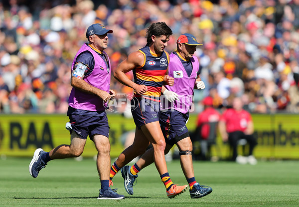 AFL 2025 Round 03 - Adelaide v North Melbourne - A-58223659