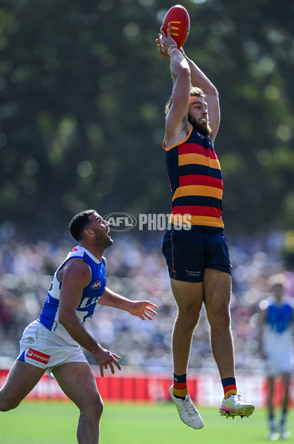 AFL 2025 Round 03 - Adelaide v North Melbourne - A-58223661