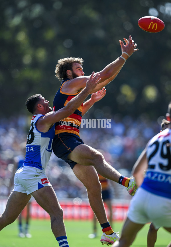 AFL 2025 Round 03 - Adelaide v North Melbourne - A-58223664