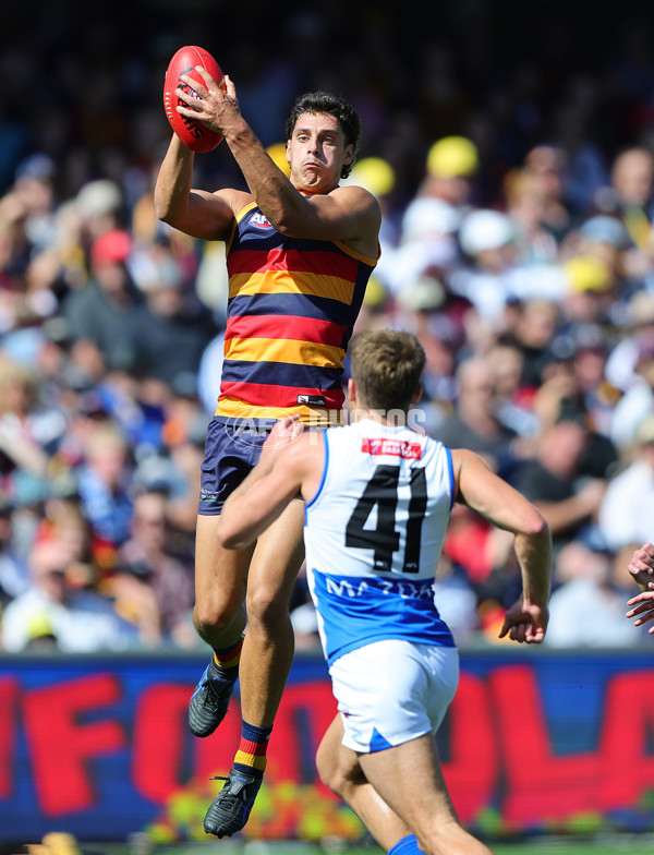 AFL 2025 Round 03 - Adelaide v North Melbourne - A-58223669